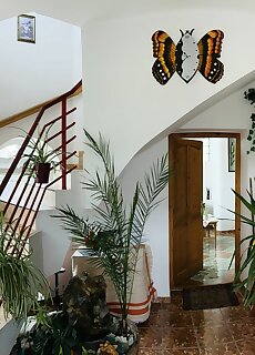 Joker Villa Apartmanhaz Heviz