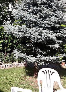 Lazar Apartmanok Heviz