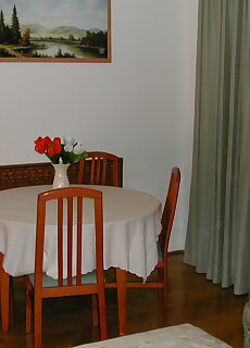 Rozsa Apartman Heviz