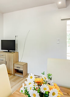 Palko Apartman Heviz