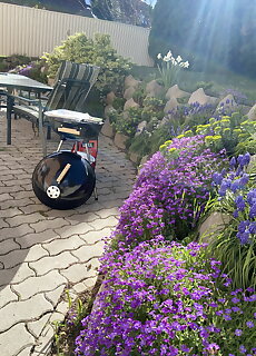 Termalfurdo Apartman Igal