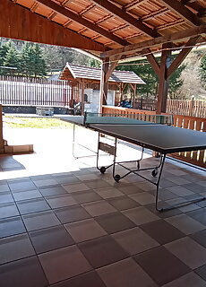 Dapsy Apartmanhaz Josvafo