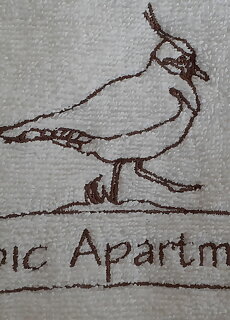 Bibic Apartman C Kapolnasnyek