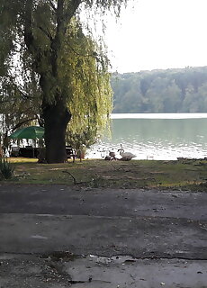 Deseda Apartman Kaposvar
