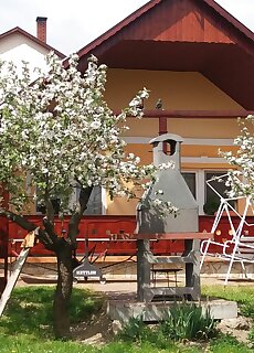 Andrea Apartman Kehidakustany