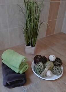 Zala Holiday Apartman Keszthely