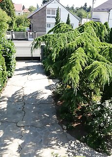 Edenkert Apartman Keszthely