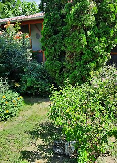 Tiszai Vandor Apartmanhaz Kiskore