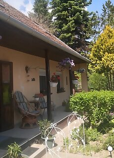 Vadkorte Apartman Kisszekely