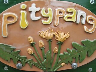Agard Pitypang Vendeghaz szállás