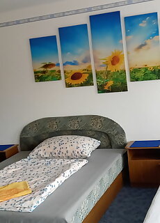 Sasfeszek Apartman Lenti