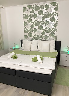 Frezia Apartman Mako