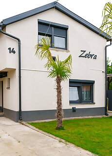 Zebra Apartman Mezokovesd