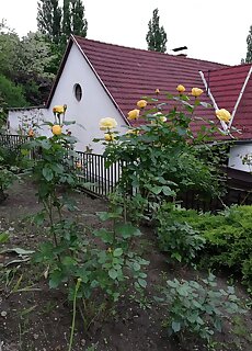 Barbara Apartmanhaz Miskolc