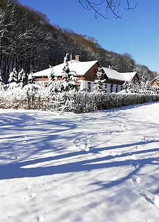 Parva Foresta Apartman Miskolc