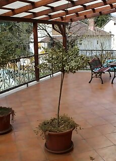Herczeg Apartmanhaz Miskolctapolca