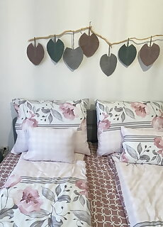 Ri Jo Apartman *** Mohacs