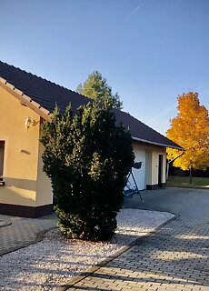 Crystal Apartman Morahalom