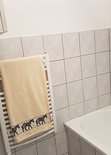 Apartman Kaszas Central Mosonmagyarovar