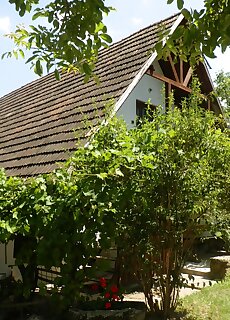 Butella Apartman Nagyborzsony