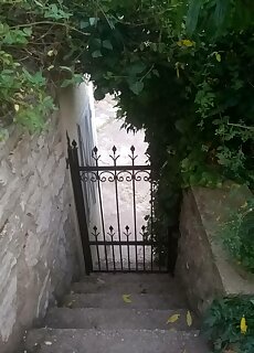 Vadszolo Apartman Paloznak