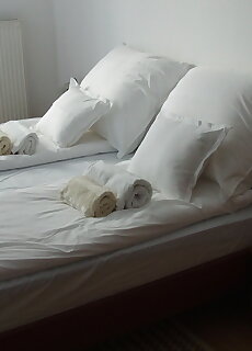 Central Pecs Free Parking Apartman