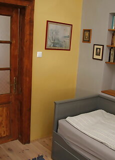 Green Tree Apartman Pecs