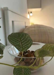 R59 Apartman Pecs