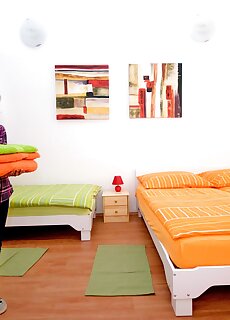 Centralom Apartman Pecs