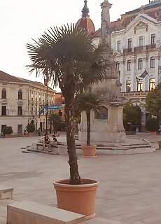 Bea Tom Central Apartman Pecs