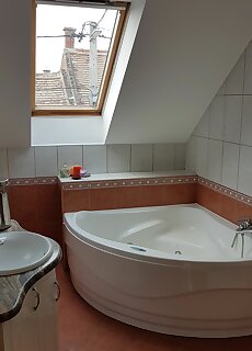 Biserka Apartman Pecs