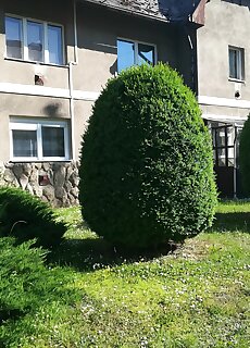 Lux Apartman Salgotarjan
