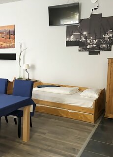 Harom Tarka Macska Apartmanok Sarospatak
