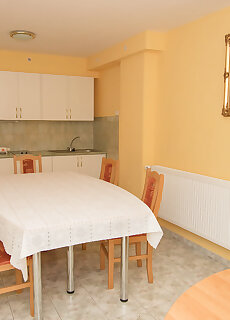 Farkas Apartman Sarvar