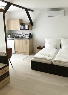 Aqua City Apartman Sarvar