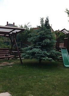 Niki Apartman Sarvar