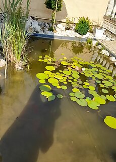 Szaki Apartman Sarvar
