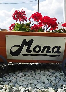 Mona Apartman Sarvar