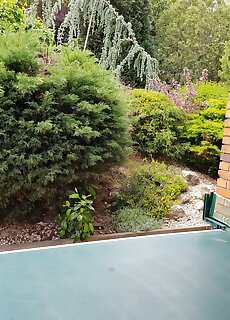 Romantika Apartman Sarvar