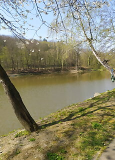 Villasor Apartman Sikonda