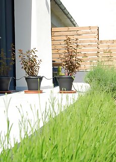 Ujhely Apartmanhaz Siofok