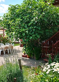 Dencs Apartman Siofok