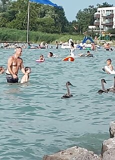 Dolce Vita Apartman Siofok