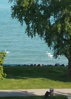 Aquatoria Apartman Siofok