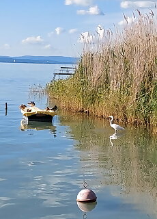 Arany Apartmanhaz Siofok