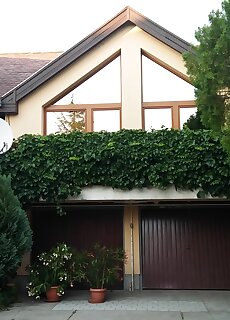 Gubo Apartman Siofok