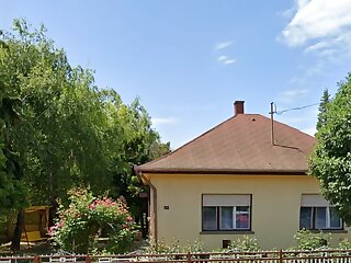 Tearozsa Vendeghaz Balatonszarszo szállás