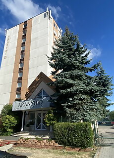Goldensnug Aranykucko Apartman Siofok