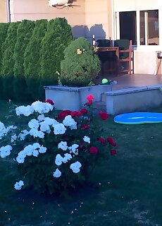 Apartman Azurea Siofok