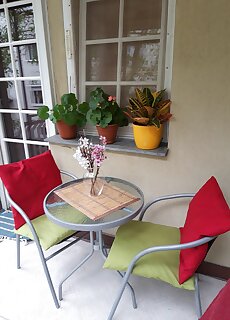 Zold Dio Apartman Siofok